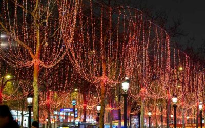 Champs-Elysées et éclairage des arbres